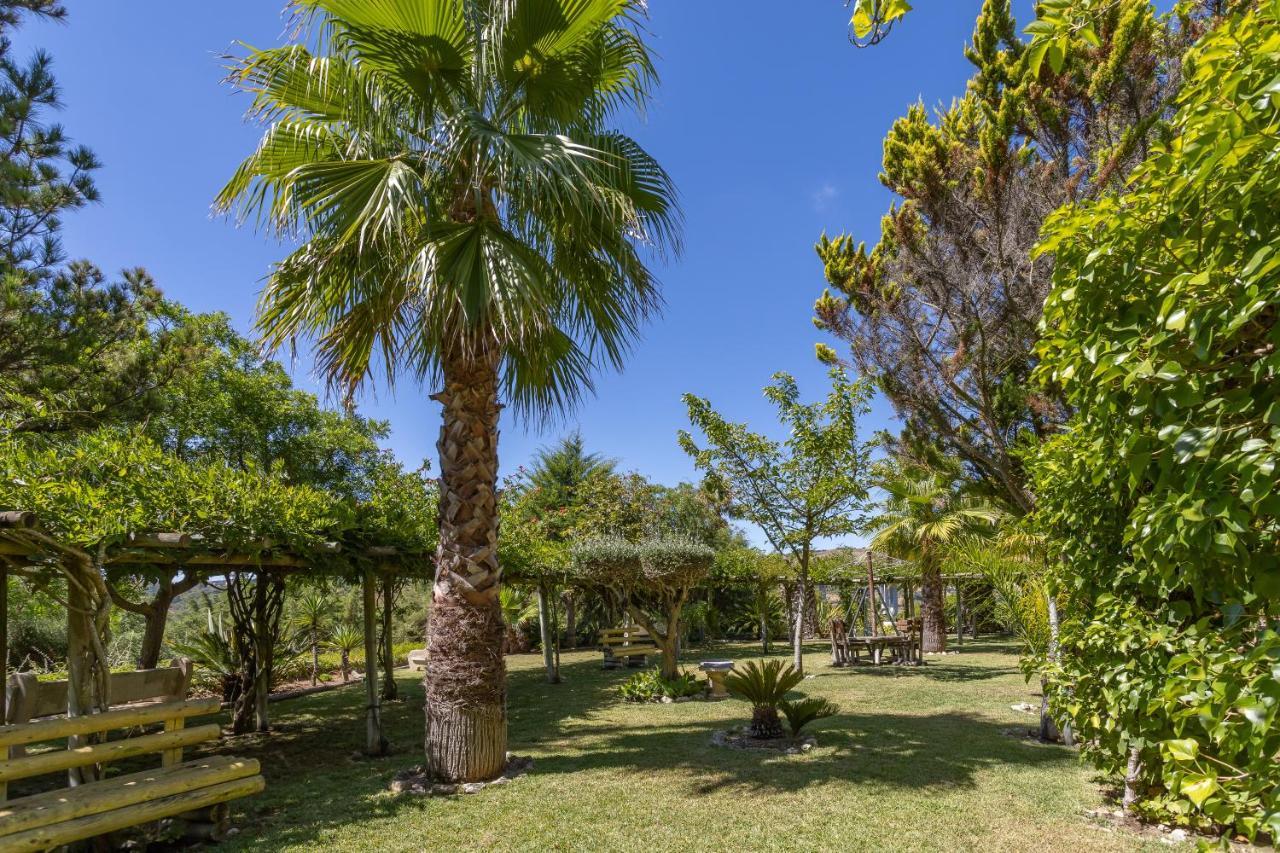 Quinta Do Monte Das Abelhas - La Venus De Lisbonne Calhandriz Exteriör bild